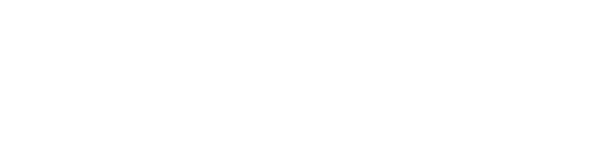 IMG1